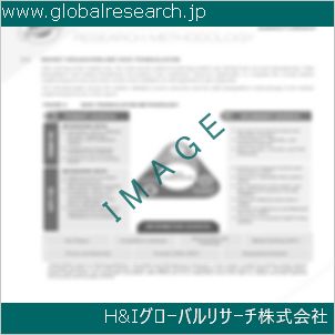 グローバルリサーチ調査資料のイメージ